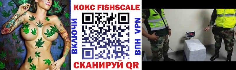 Купить закладки  Вытегра  COCAIN Эквадор 