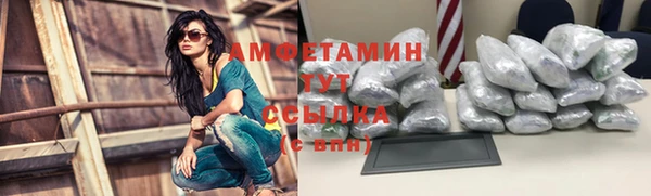 гидра Касимов