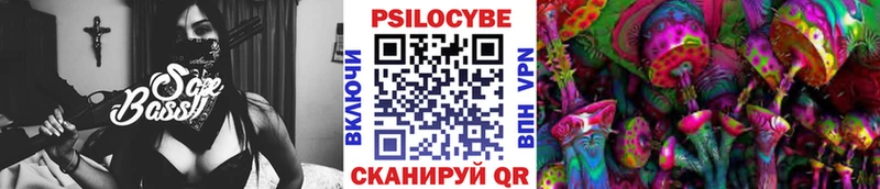 Галлюциногенные грибы Cubensis Купить закладки Вытегра
