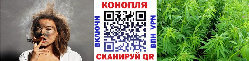 Купить закладки  Вытегра  Каннабис марихуана 